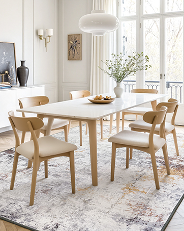 Modern Abstract Rugs