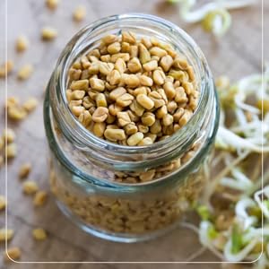 Fenugreek