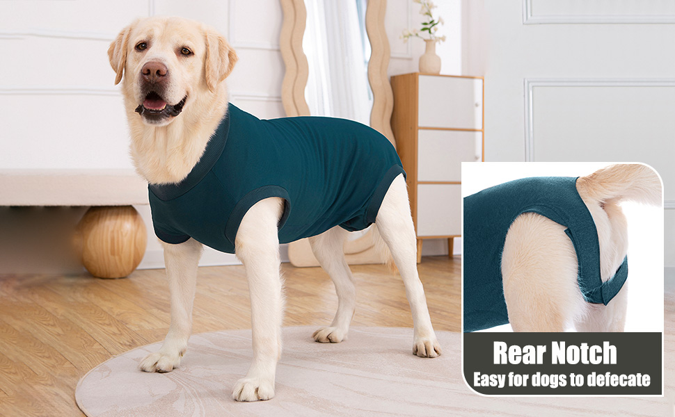 dog medical suit