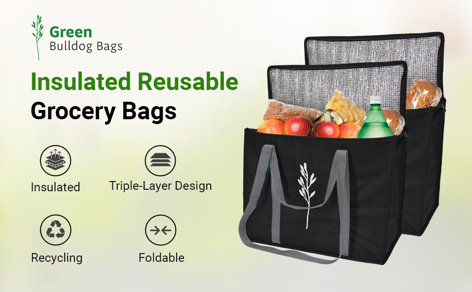insulated tote bag