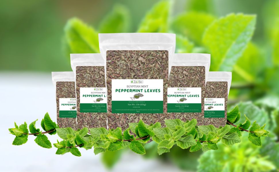 ZAVBE Peppermint Tea Leaves 1LB 16oz, Herbal Mint Loose