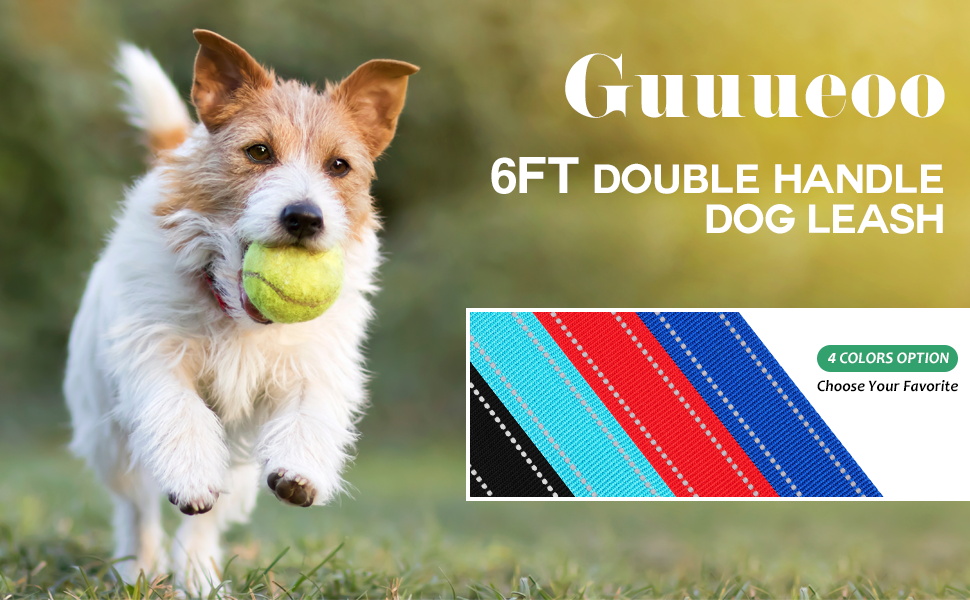 Guuueoo 6FT Dog Leash, 2 Comfortable Padded Handles, Chew Proof Heavy Duty
