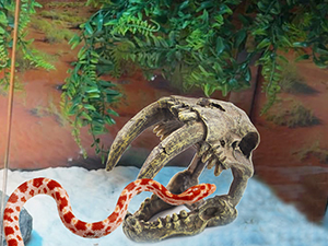 Small manufacture image 1