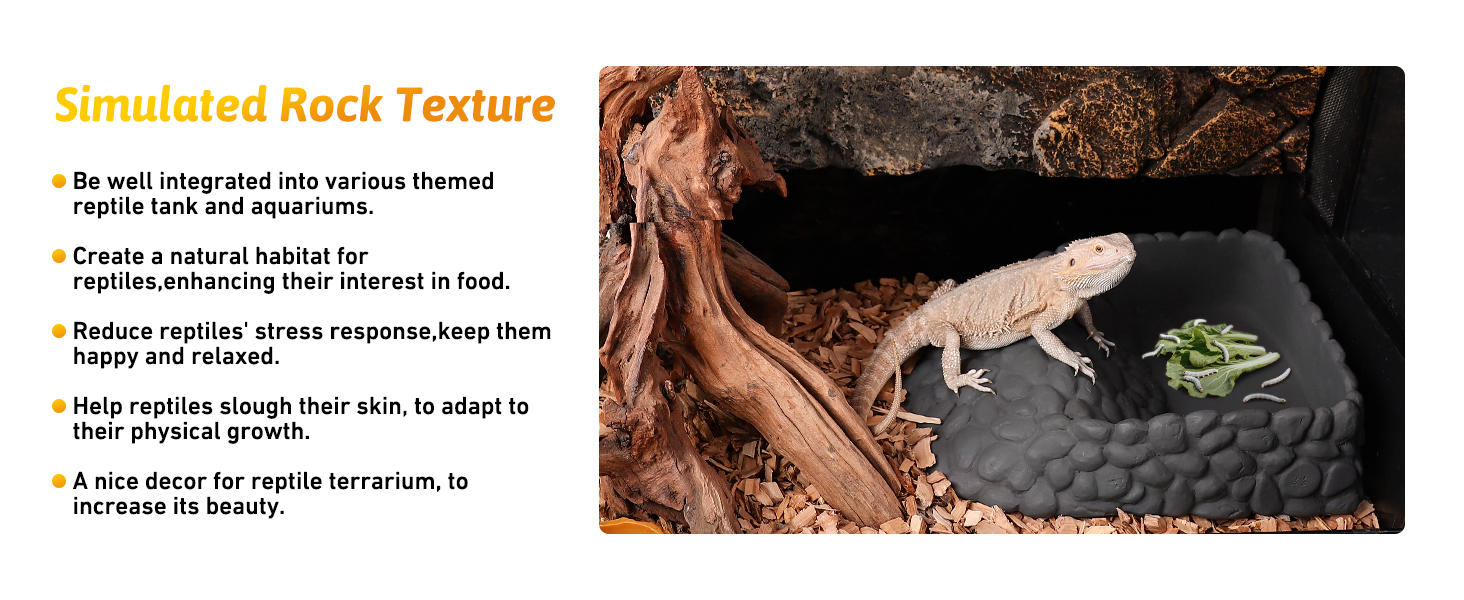 reptile food and water dish