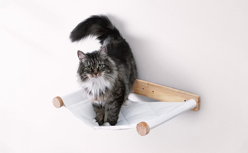 Cat floating shelf