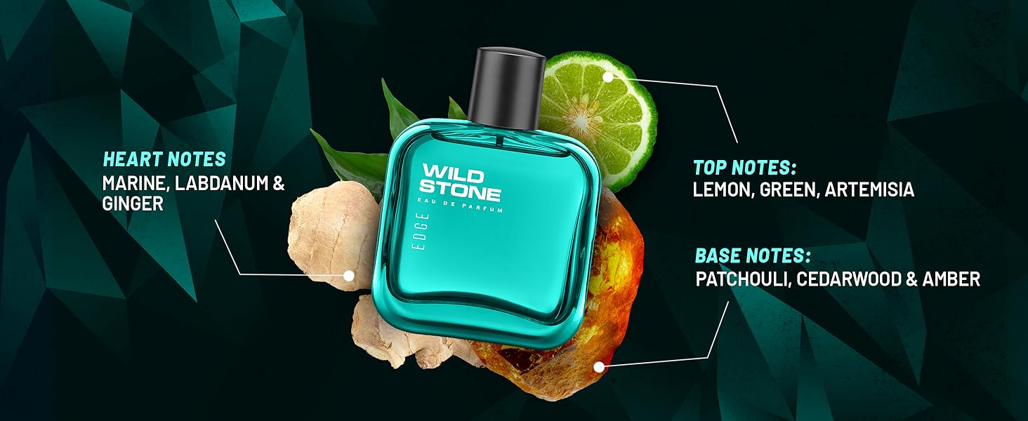 Wild Stone Edge EDP Premium Perfume for Men