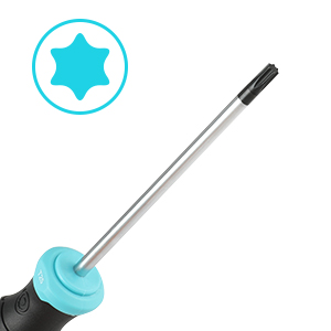 Torx