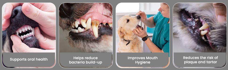 Trixie Apple Flavoured Water Additive Dental Care Liquid for Dogs and Cats