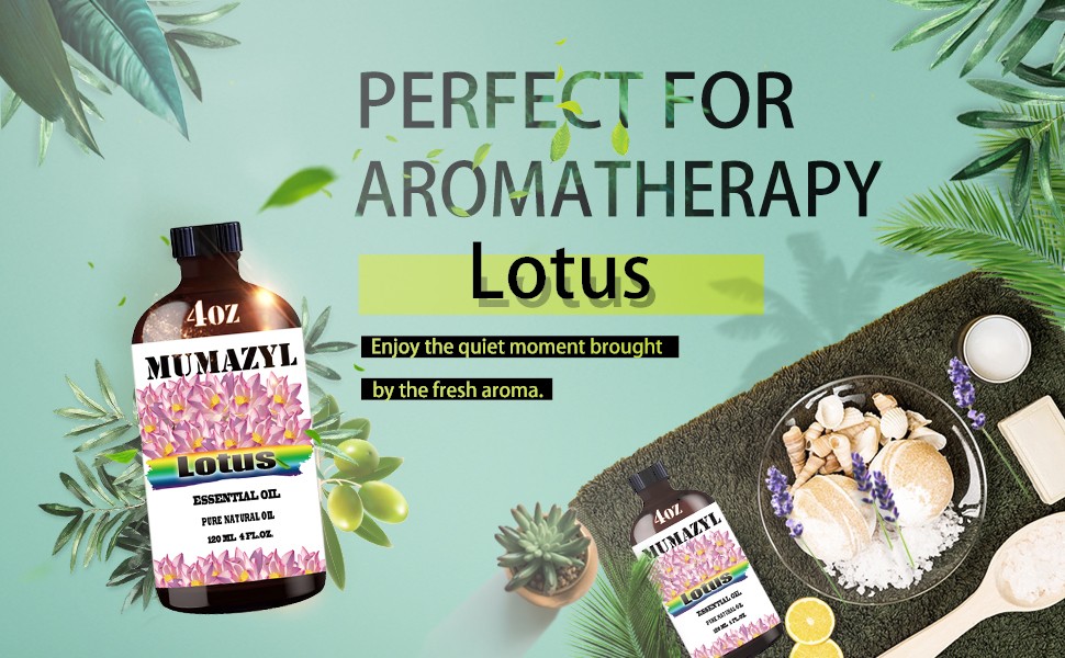 Lotus Essential Oil, Lotus Oil 4 Fl Oz 120ML for Diffuser