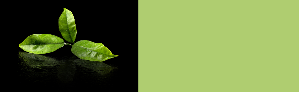 Green idea tea tree oil nail cream - brittle nails - regenerating - pocket size, green idea