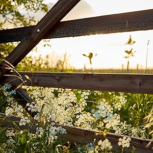 Small manufacture image 8