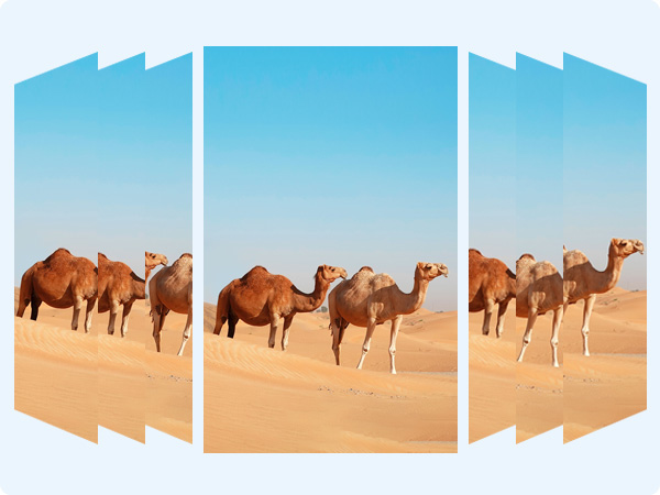 akaso ek7000 pro 4k action camera