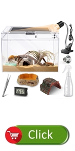 reptile terrarium with kits accessories lizard geock bowl lamp