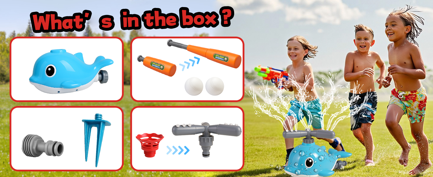 What's in the Box