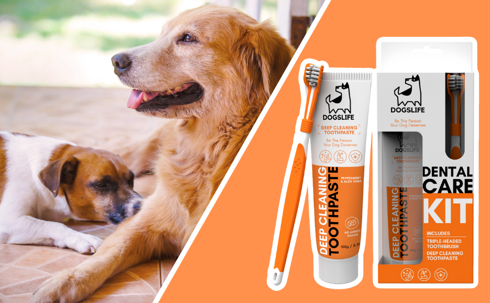 Dog Toothbrush with Toothpaste Approved Dog Dental Kit Triple