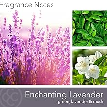 Enchanting Lavender