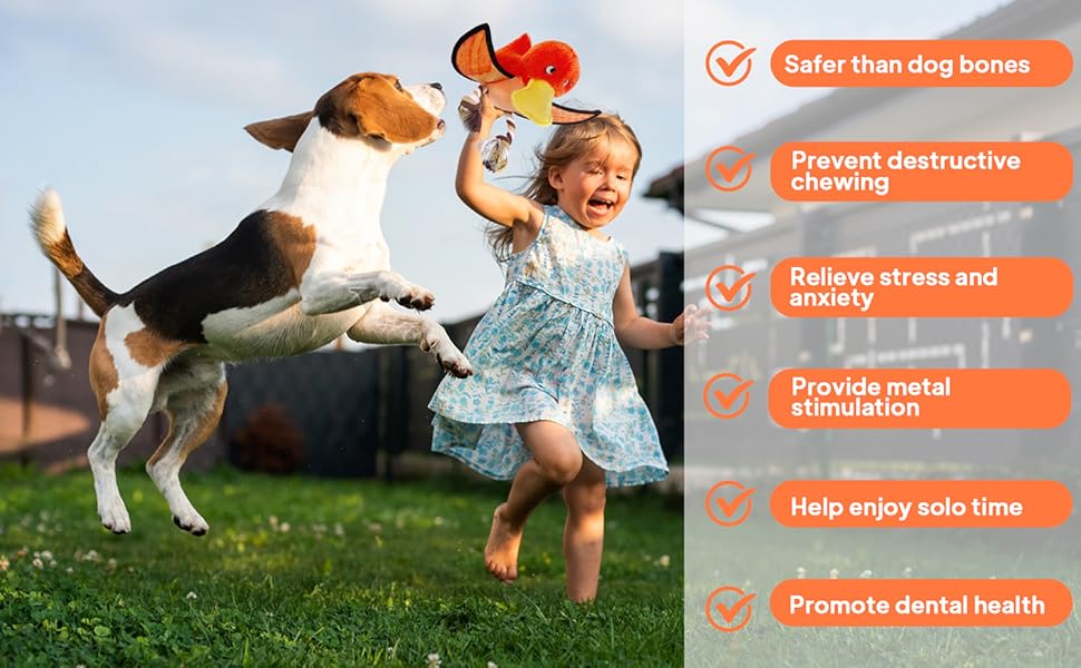 dog toys for aggressive chewer