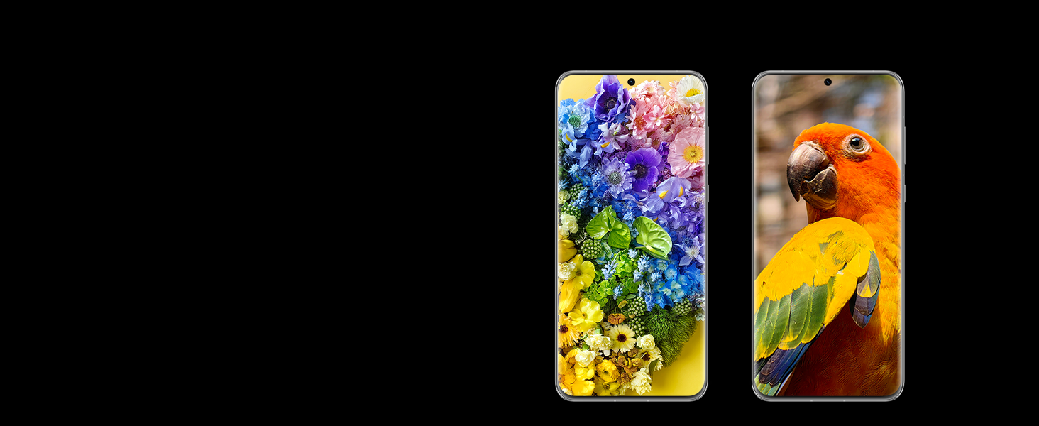 P60 Pro