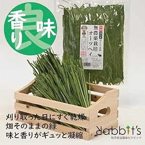 【人気NO1】【乾燥】特撰無農薬オーツヘイ70g ラビッツ　10袋 人気NO1】【乾燥】特撰無農薬オーツヘイ70g ラビッツ 10袋 NO1