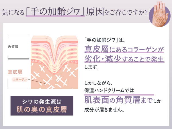 Amazon.co.jp: 北の快適工房 ピンテ : ビューティー