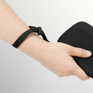 travel wallet