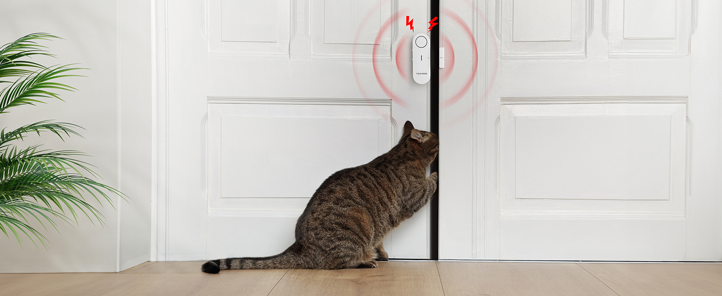 window alarms