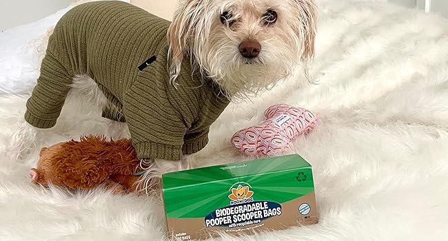 white dog with poo bags