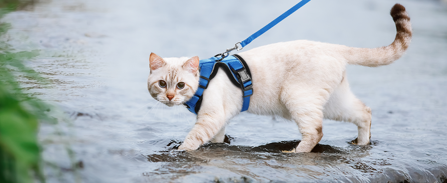 rabbitgoo Cat Harness and Leash for Walking, Escape Proof Soft