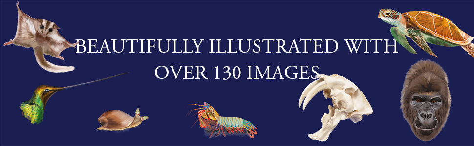 BEAUTIFULLY ILLUSTRATED WITH OVER 130 IMAGES. Picture of a flying squirrel, hummingbird, snail, gori