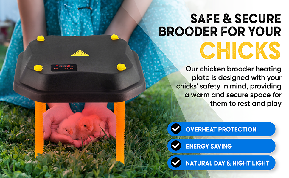 WINGWANDER brooder Heater Plate Chicken Brooder for