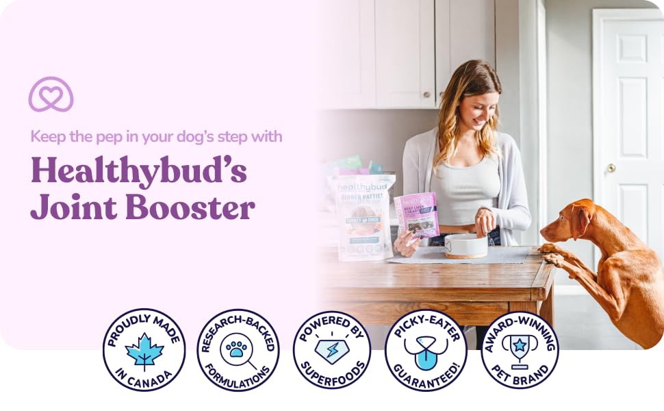 Dog joint supplement hip joint support glucosamine treats green-lipped mussel collagen chews