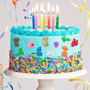 HengKe 2 Pcs Cats Dogs Foxes Silicone Molds