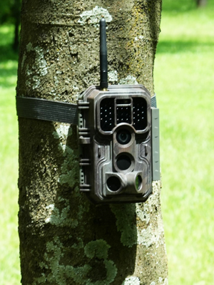 Small manufacture image 1