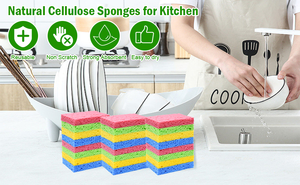 Kitchen Sponges