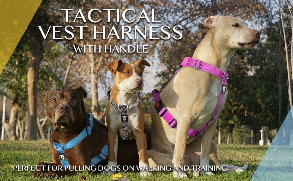 TSPRO Tactical Dog Vest Harnesses with Handle 1.5 inch Wide Military Grade Strong