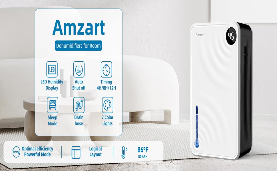 Dehumidifiers for Home