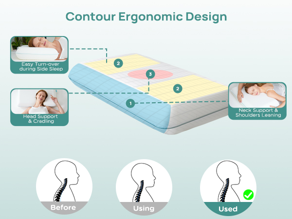 Back Stomach Sleepers