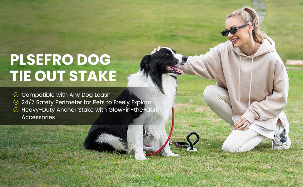 Heavy-Duty Anchor Stake Compatible with Any Dog Leash 24/7 Safety Perimeter for Pets