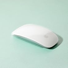 a white mouse sits on a turquoise background.