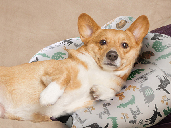 nursing pillow for breastfeeding