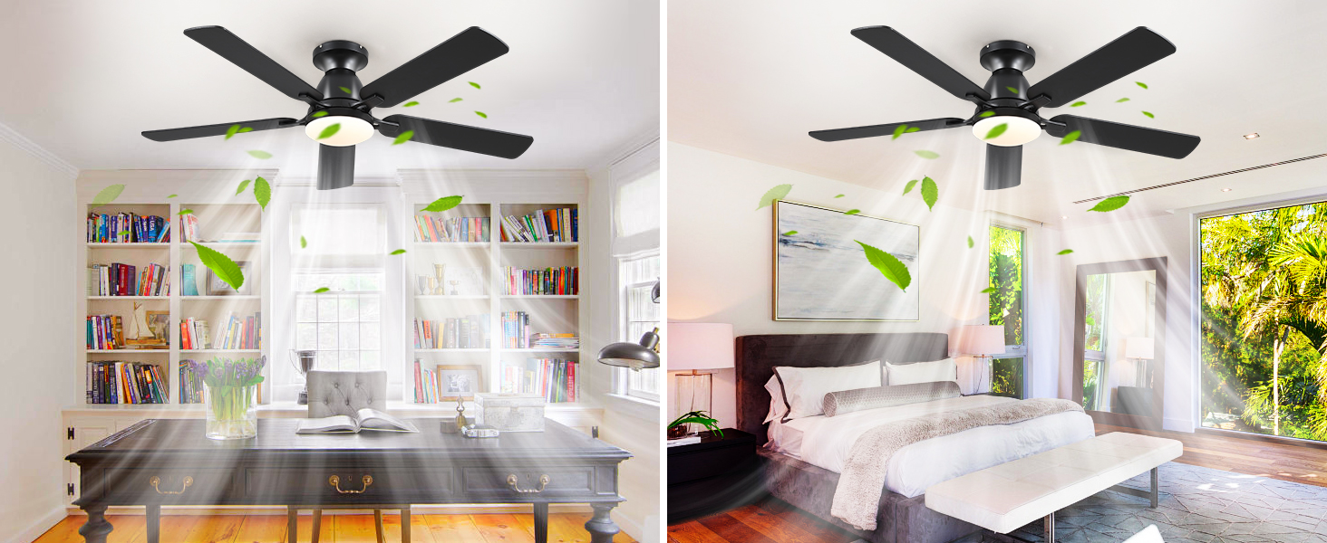  Ceiling Fans
