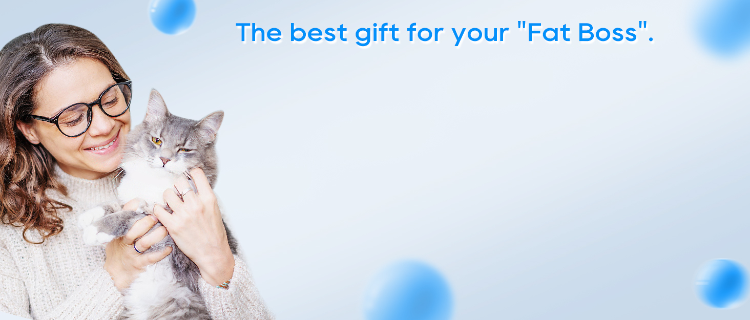 MyfatBOSS pet fountain filter replacement