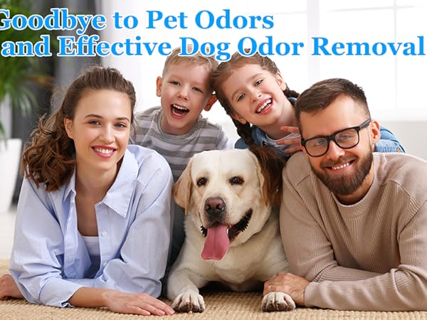 odor eliminator for home