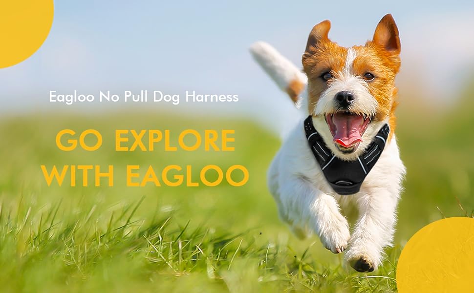 Eagloo Dog Harness No Pull, Walking Pet Harness with 2 Metal Rings and