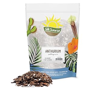 Soil Sunrise Anthurium potting soil mix ingredients