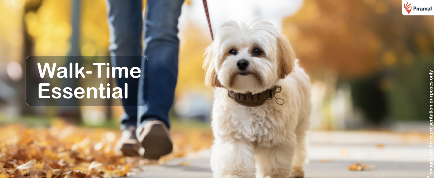 pawkare pet wipes