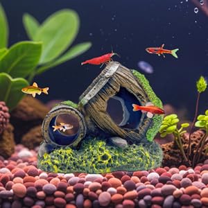 fish tank barrel decor