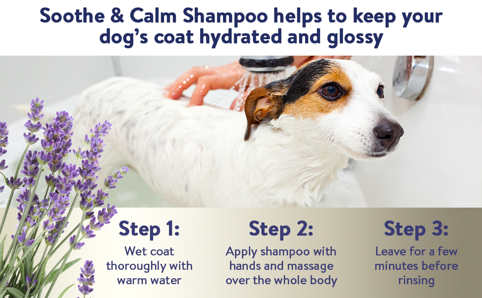 Soothe and calm shampoo banner