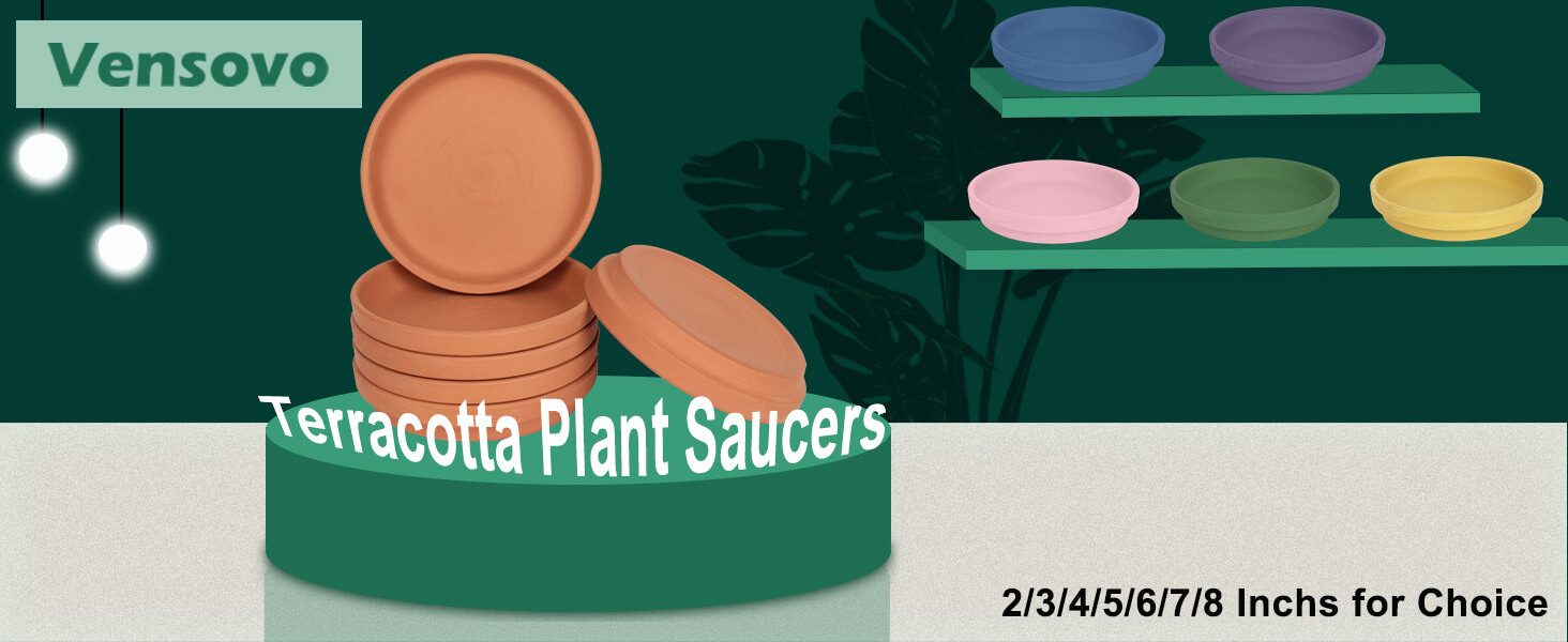 6 Inch White Terracotta Pot Plant Saucer 6Pcs Middle