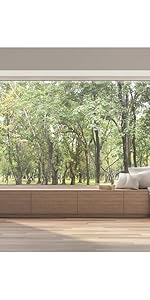 living room backdrop spring forest